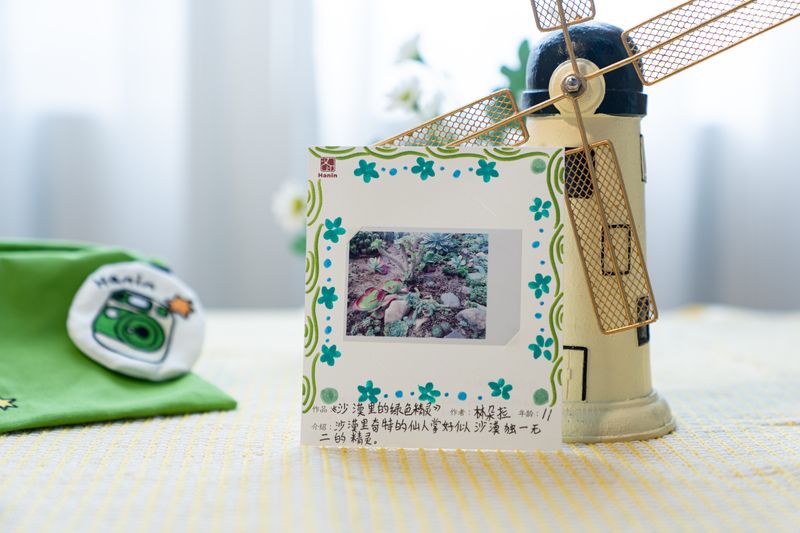 必发7790拍立得作品 沙漠里的绿色精灵 必发7790拍立得作品 沙漠里的绿色精灵